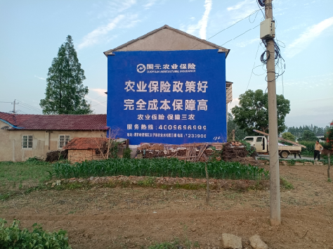 泰兴墙体广告的优劣势你知道吗？